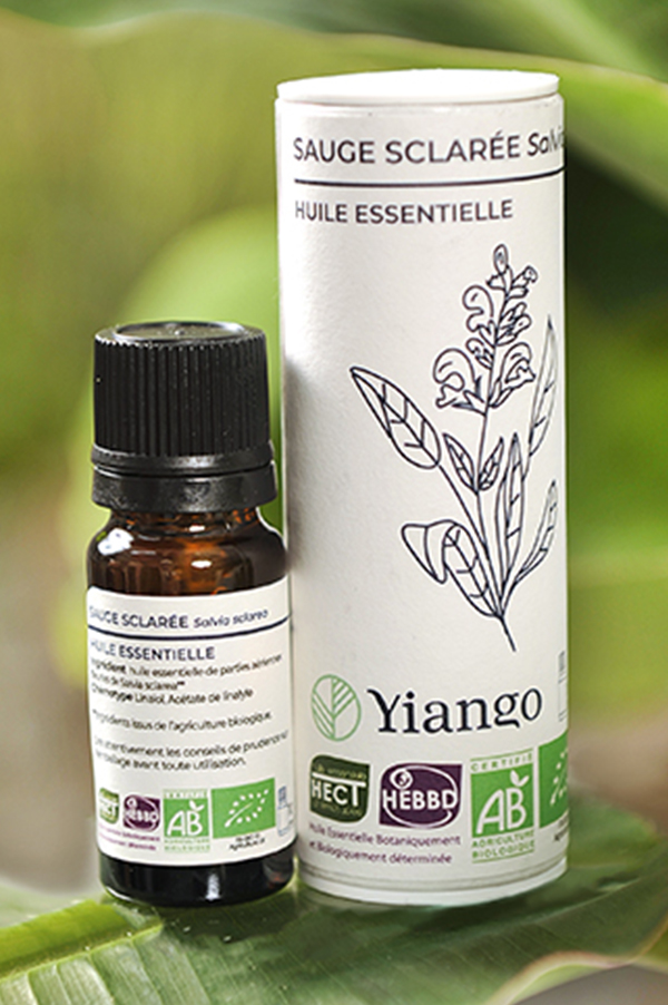 L'huile essentielle de tea tree bio Salvia