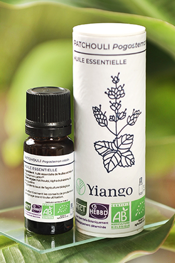 Huile essentielle de Patchouli BIO: propriétés et utilisation