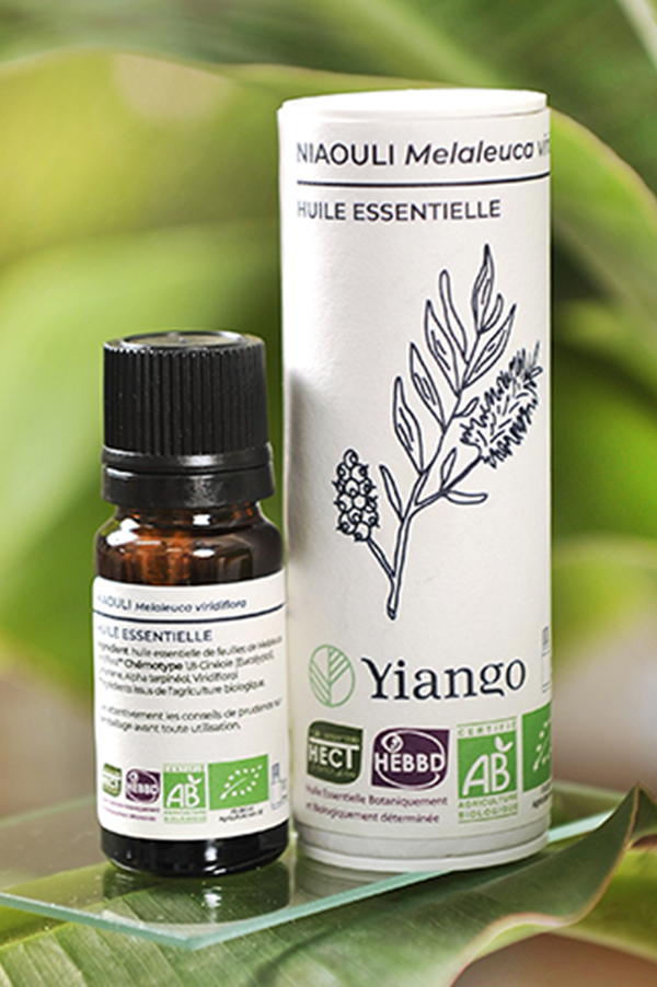 Huile essentielle niaouli bio - Joli'Essence