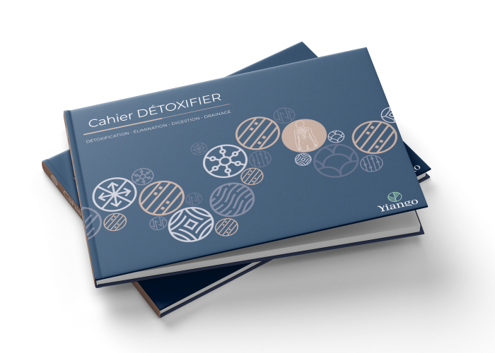 detox_Book_Mockup_6 detox_Book_Mockup_6